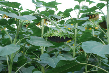 Similar image 22477801