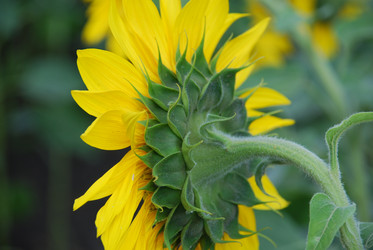 Similar image 22477802