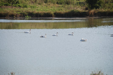 Similar image 22477804