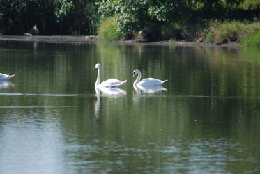 Similar image 22477805