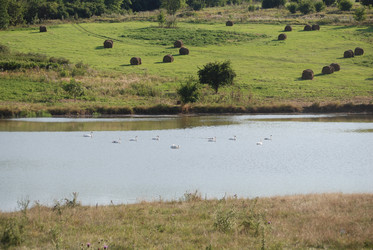 Similar image 22477806