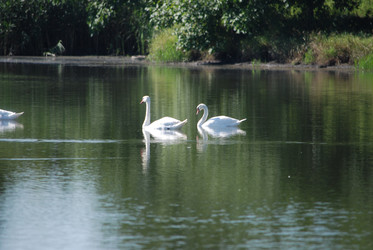 Similar image 22477807