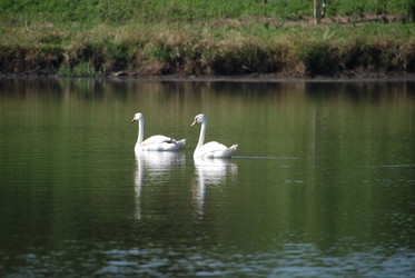 Similar image 22477808