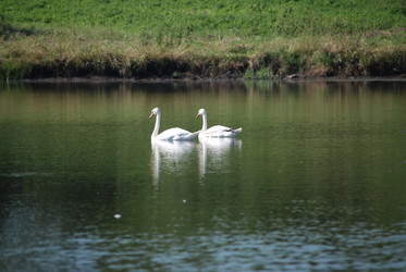 Similar image 22477809