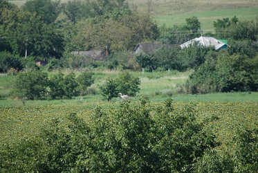 Similar image 22477811