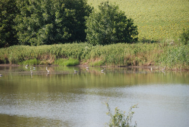 Similar image 22477812