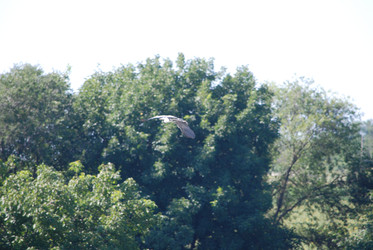 Similar image 22477813