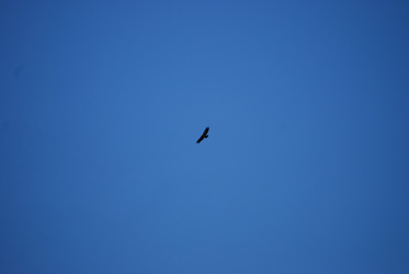 Similar image 22477815