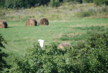 Similar image 22477817