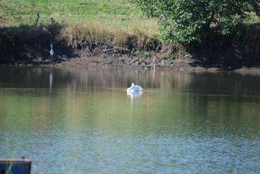 Similar image 22477818