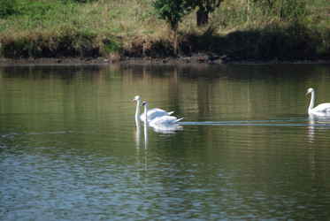 Similar image 22477819