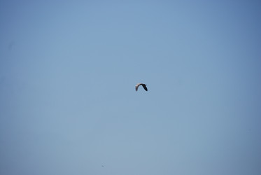 Similar image 22477821