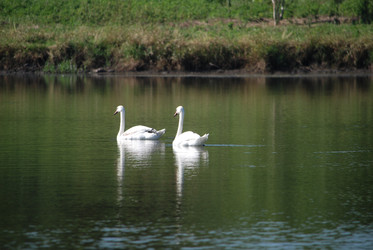 Similar image 22477822