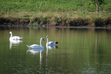 Similar image 22477823