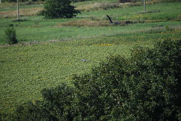 Similar image 22477824