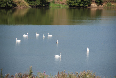 Similar image 22477827