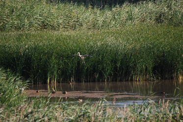 Similar image 22477829