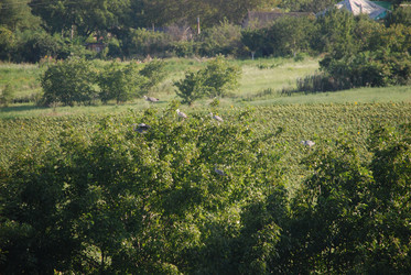 Similar image 22477830