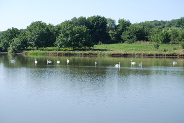 Similar image 22477831