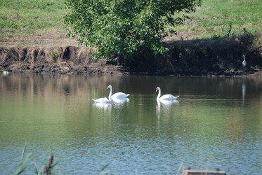 Similar image 22477832