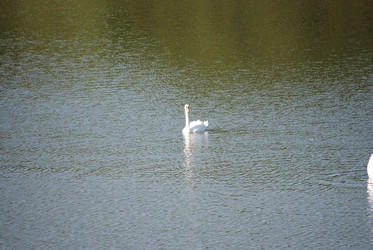 Similar image 22477833