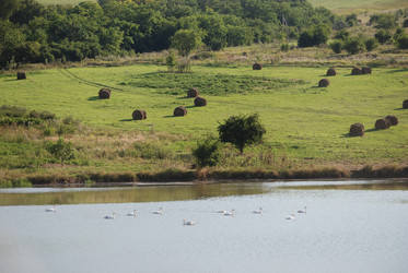 Similar image 22477835