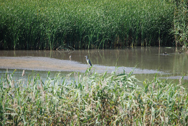 Similar image 22477836