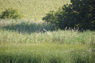 Similar image 22477837