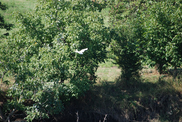 Similar image 22477838