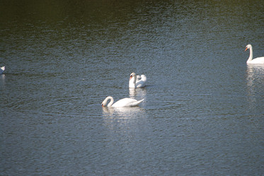 Similar image 22477839