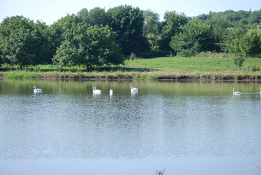 Similar image 22477840