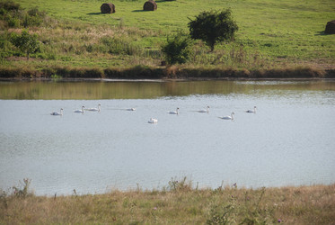 Similar image 22477842