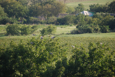 Similar image 22477844