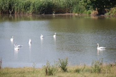 Similar image 22477845