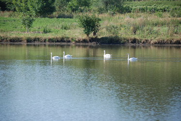 Similar image 22477847