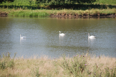 Similar image 22477848