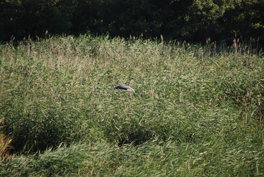 Similar image 22477849