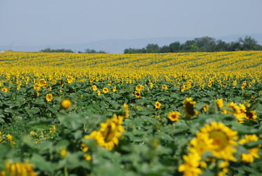 Similar image 22477850