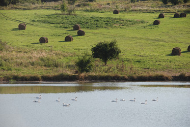 Similar image 22477851