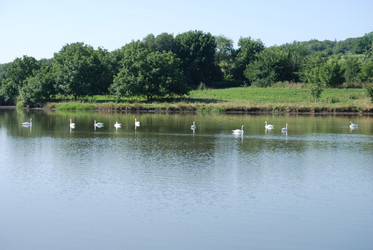 Similar image 22477853