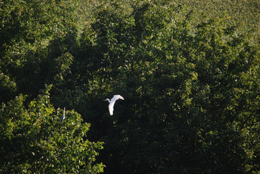 Similar image 22477854