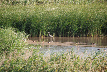 Similar image 22477855