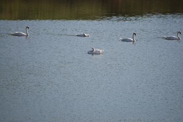 Similar image 22477856