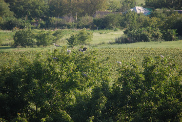 Similar image 22477857