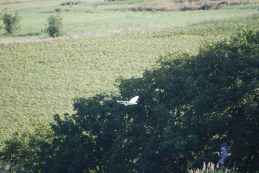 Similar image 22477860