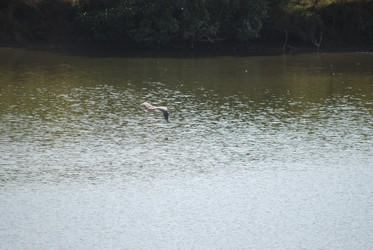 Similar image 22477868