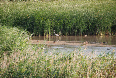 Similar image 22477870