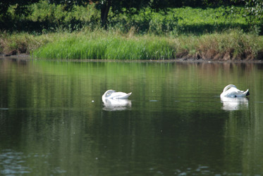 Similar image 22477871