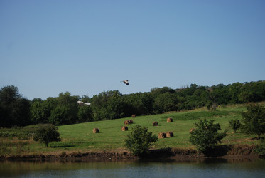 Similar image 22477873