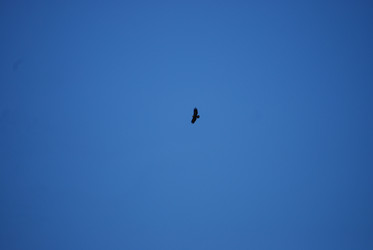 Similar image 22477874